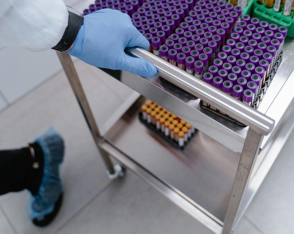 Italia allarmata per pandemie e fake news. Temuti anche gli errori medici